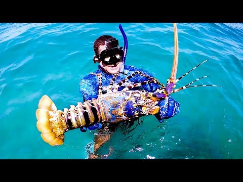 GIANT CRAYFISH Catch And Cook With My Dad In Amazing Weather - Ep 144