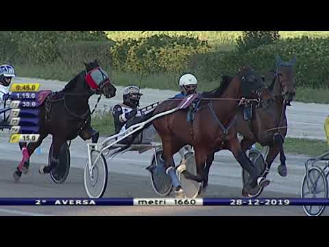Aversa trotto 28 Dicembre 2019 - 2° Corsa