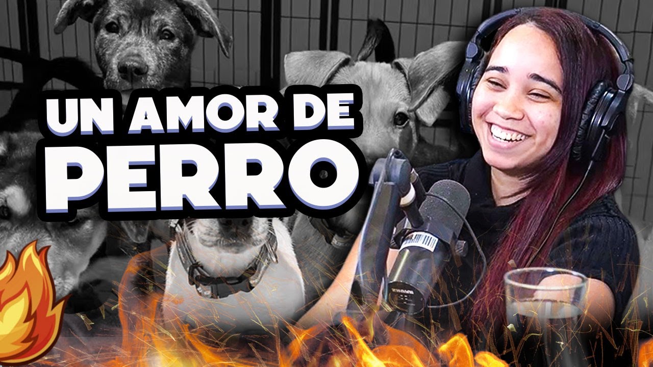 La causa por dentro