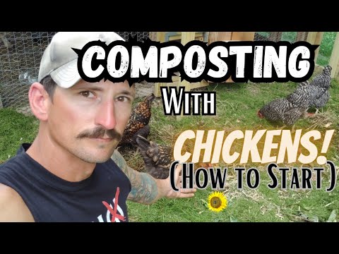 How To Start a Chicken Composting System to Get the BEST Compost