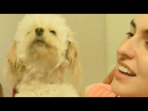 "Taco", The coyote slayer . . . Howling with the pack!