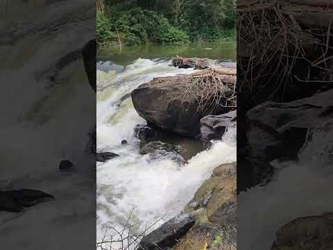 A Natureza pede socorro rio Santana do Manhuaçu Minas gerais 