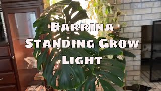 Barrina T10 Pro Grow Light Review | Best LED Grow Light with Timer for Indoor Plants