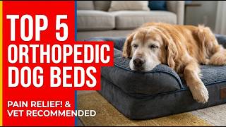 👉 Top 5 best orthopedic bolster dog bed for joint pain 2026