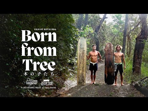 OCEANTREE ~ Born from Tree ~