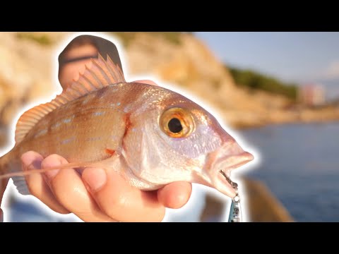 Fishing in Croatia, we didn't expect so many fish!