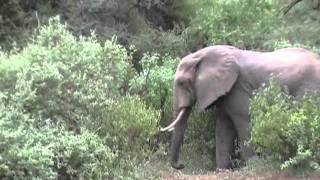 Lake Manyara
