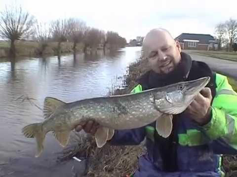 Matze Koch: Fishing School - Frogging