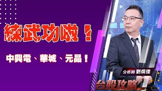 練武功啦！中興電、華城、元晶！｜台股攻略｜劉烱德 (圖)
