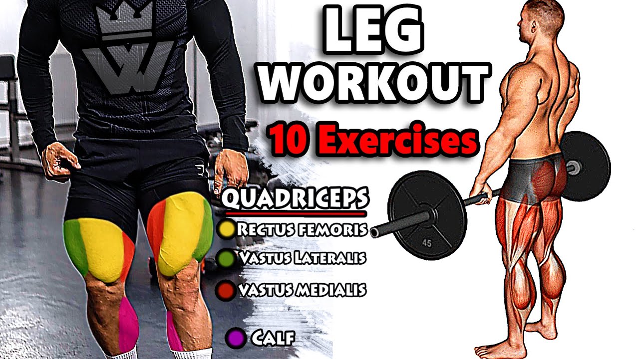 THE BEST LEG EXERCISES WORKOUT Build Muscle