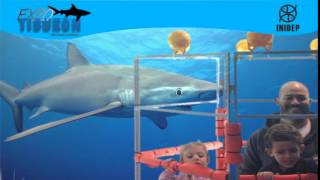 DIA 3 Expo Tiburon183