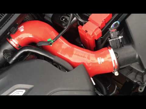 Mountune High Flow Induction Hose