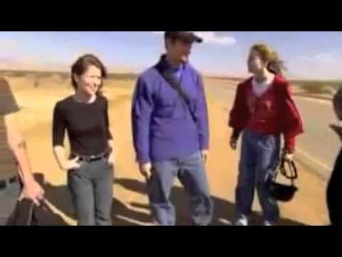 The Mole Introduction