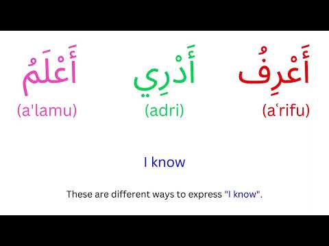 Expressing Emotions and Needs in Arabic - Lesson 8.