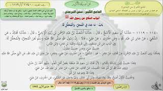 صورة شرح الجامع الكبير سنن الترمذي : باب ماجاء في المُحل ، والمُحلل له - الحديث 1140 || ماهر ياسين الفحل