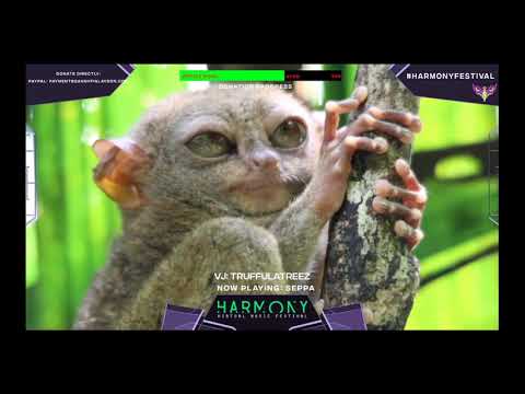 seppa with truffulatreez 8 15 20