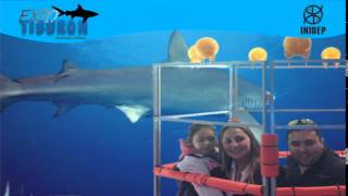 DIA 3 Expo Tiburon17