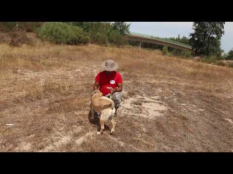 Vídeo de MARLEY