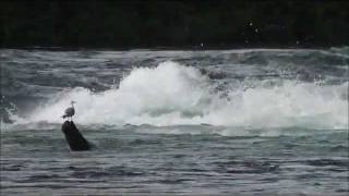 As the Rez Turns---She Smiles Like a River