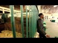 P Jay Feat Flav Padone M