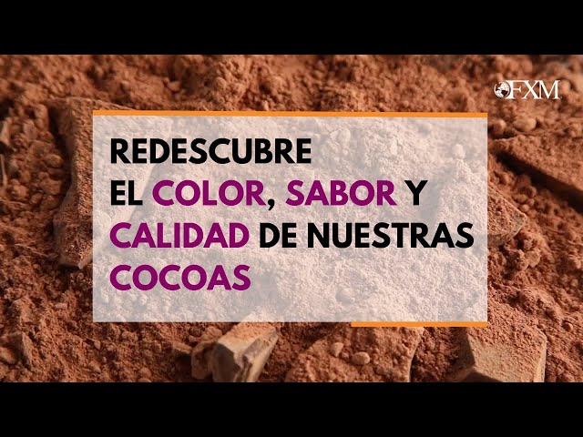 imagen-video-thefoodtech