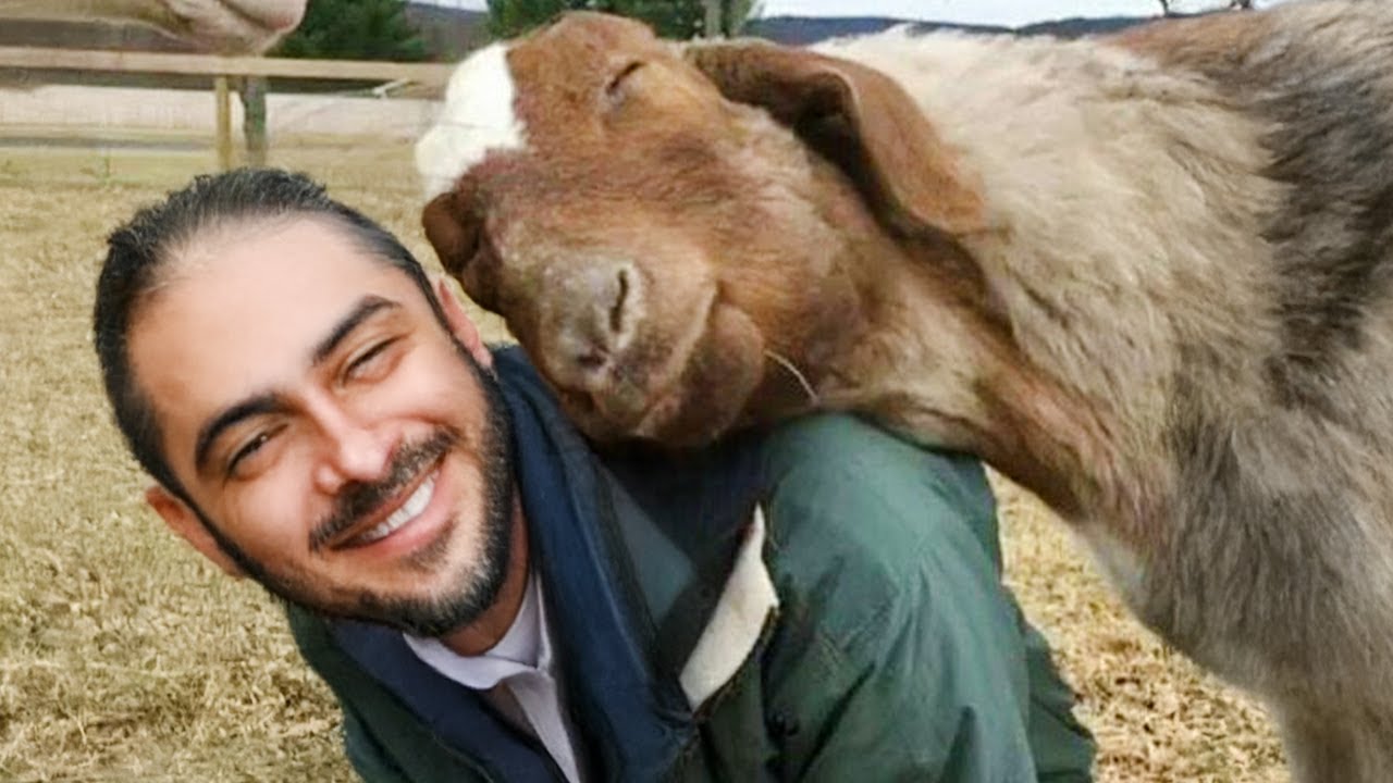 Love of Animals Moments That Will Cure Your Depression!