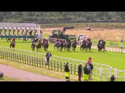 Göteborg 20. Aug 2017 - Sommarfinal Stayer (2.200m)