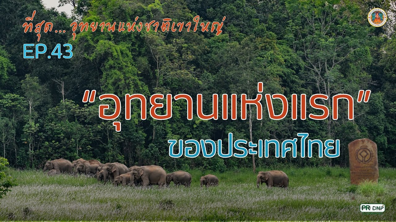 อุทยานแห่งชาติเขาใหญ่