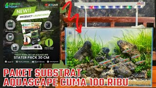 #370 Membuat Aquascape versi hemat dengan tanaman mudah dirawat