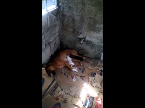Kung ano ang talagang posible na mawalan ng timbang Larisa Guzeeva tungkol sa pagkawala ng timbang