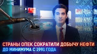 СТРАНЫ ОПЕК СОКРАТИЛИ ДОБЫЧУ НЕФТИ ДО МИНИМУМА С 1991 ГОДА