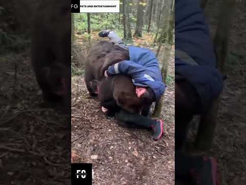 Brown Grizzly Bear playing with humans🐻