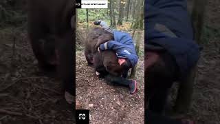 Brown Grizzly Bear playing with humans🐻
