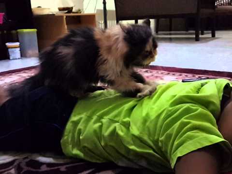 lucu banget, Daffa ketiduran di pijitin si miuw