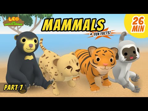 Witness21 Editor  2021 01 22