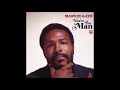 marvin gaye / you're the man, pt. I & II (mono single ver.)