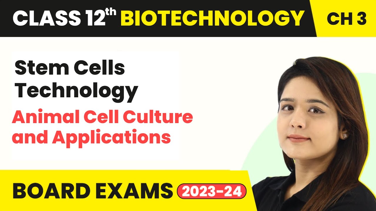 Stem Cells Technology - Animal Cell Culture and Applications | Class 12 Biotechnology Chapter 3