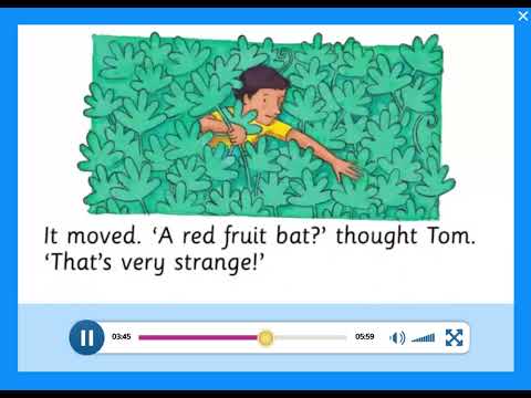 Storyfun 4 Unit 5 The tomango tree