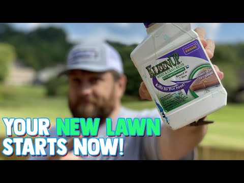 I Just Sprayed GLYPHOSATE on my Lawn - No Turning Back Now!!