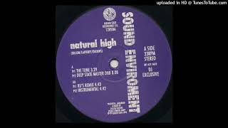 Sound Environment - Natural High (Instrumental)