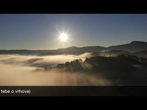 Rasti, rasti moj zeleni bore - traditional Serbian song ("Savior" soundtrack)