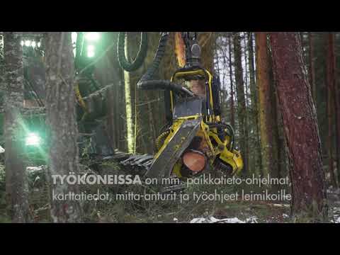Puunkorjuu ja helppo puukauppa - UPM Metsä