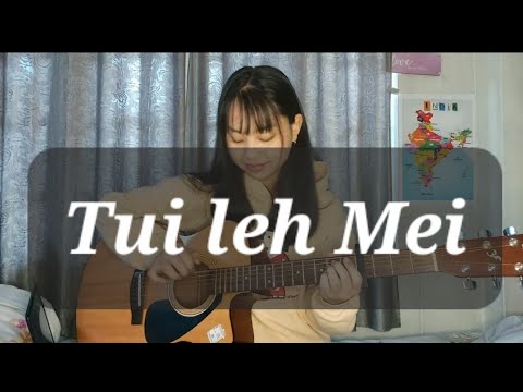 SaiWanah Ft. Omomi - Tui Leh Mei (fingerstyle guitar cover)