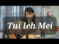 SaiWanah Ft Omomi Tui Leh Mei Fingerstyle Guitar Cover