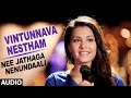 Vintunnava Nestham Song Shreya Ghoshal Nee Jathaga Nenundaali Telugu Movie 2014