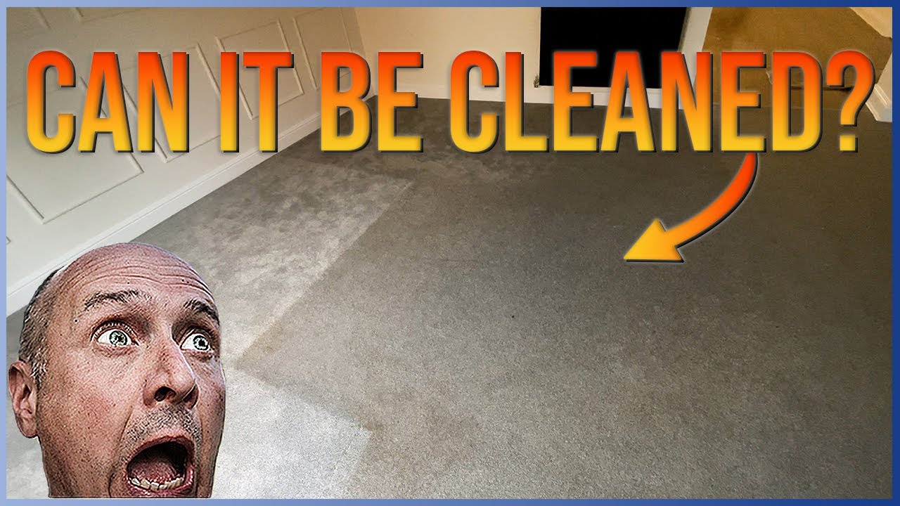 Video thumbnail showing carpet cleaning process