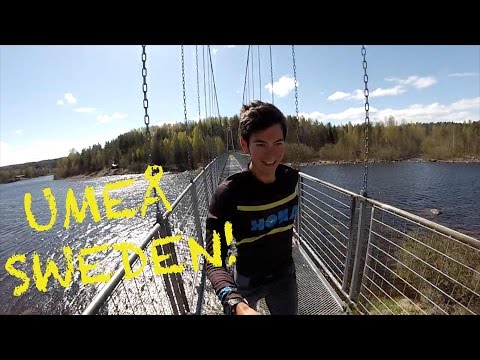 Trail Running in Umeå, Sweden | Sage Canaday