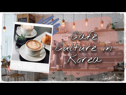 Cafe culture in Korea! Ft. A cute kitty