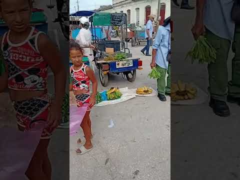 Disfruta de una feria campesina en Camajuani. Villa Clara. Cuba #feriacampesina #alimentos