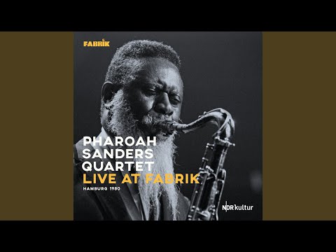 You Gotta Have Freedom (Live)